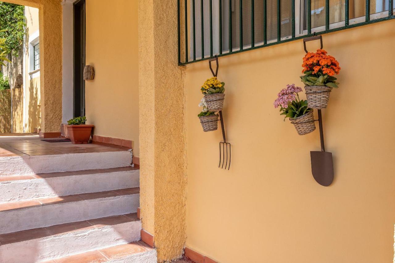 Verde E Mare Villa & Apartment Tsilivi  Exterior photo